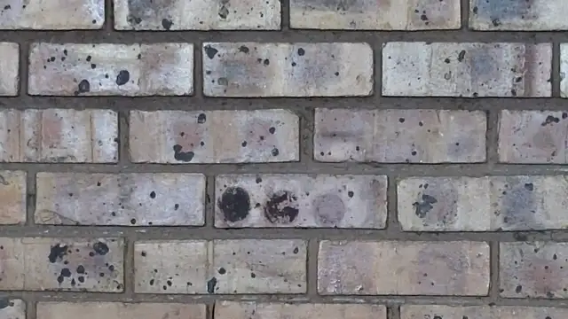 Astoria Moon online show from 02.10.25