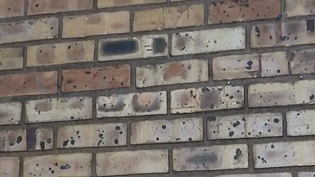 Astoria Moon online show from 02.24.25