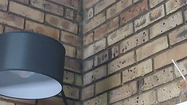 Snapshot of Astoria_Moon chatting on 01.14.26 Astoria Moon online show from 01.14.26