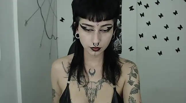 n0sferatus   online show from 02.11.25