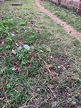 Black-mamba-madingo online show from 10.29.25