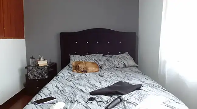 Emilia 1995 online show from 02.10.25