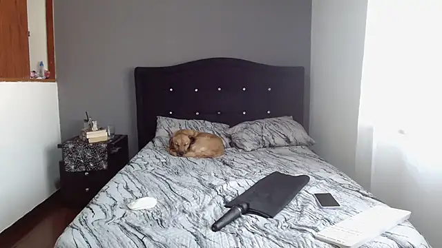 Emilia 1995 online show from 02.11.25