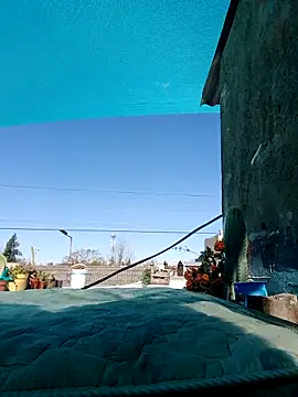 puak6666 online show from 09.11.25