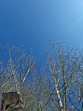 LydiaMaus96 online show from 04.21.26