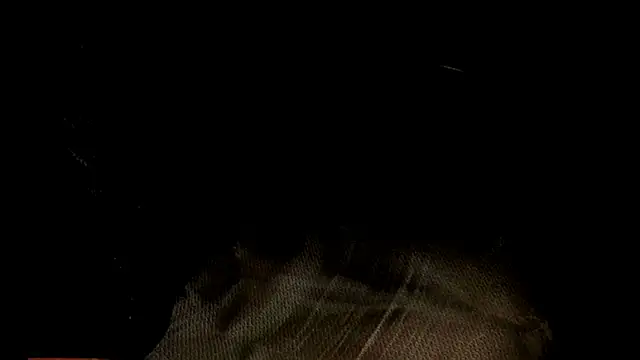 WeHoBull online show from 04.11.26