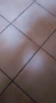 Snapshot of ZorraidaGiroNina chatting on 02.03.25 ZorraidaGiroNina online show from 02.03.25