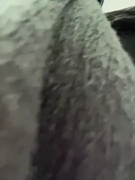 RinaCat online show from 01.06.25