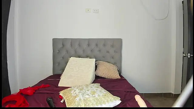 Snapshot of Nicol_Swift_ chatting on 02.06.25 Nicol Swift online show from 02.06.25