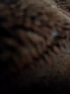 Snapshot of Priya_Bong chatting on 11.10.25 Priya Bong online show from 11.10.25