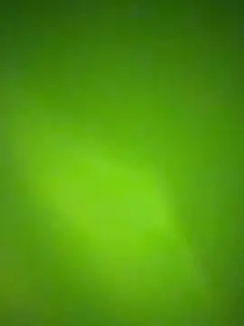 Snapshot of nene_fun chatting on 01.31.26 nene fun online show from 01.31.26