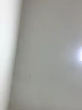 Snapshot of LinnaGardenia chatting on 10.01.25 LinnaGardenia online show from 10.01.25