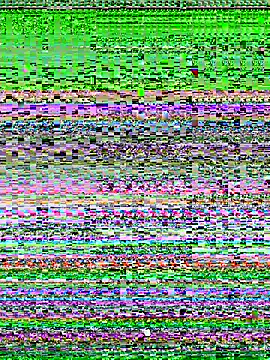 Barbyxhot online show from 11.21.25