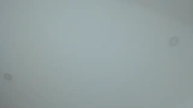 dollface17 online show from 01.30.25