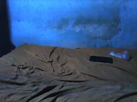 little  joy online show from 11.30.25