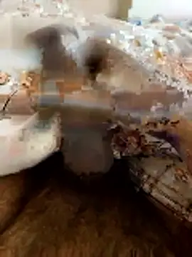 Snapshot of Hard_stick007 chatting on 01.16.26 Hard stick007 online show from 01.16.26