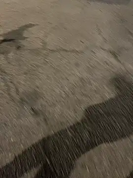 ToAnWTW online show from 02.24.26