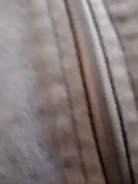 pleasure and fantasy online show from 01.08.25