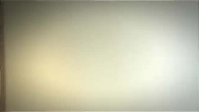 Elation Evy online show from 04.19.26