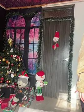 Snapshot of _Artemisa_X chatting on 12.28.24  Artemisa X online show from 12.28.24