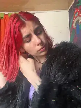 Snapshot of _Artemisa_X chatting on 01.27.25  Artemisa X online show from 01.27.25