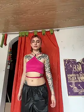 Snapshot of _Artemisa_X chatting on 02.20.25  Artemisa X online show from 02.20.25