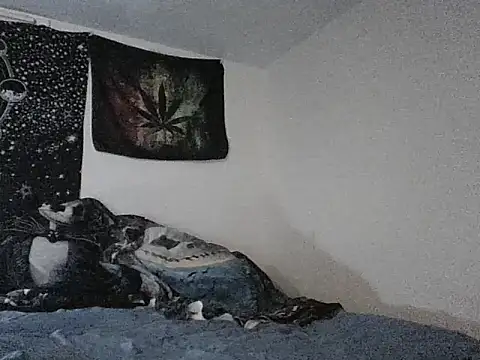 Snapshot of webetokinmo420 chatting on 11.29.25 webetokinmo420 online show from 11.29.25