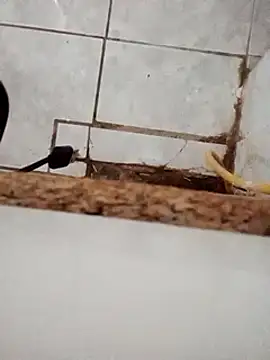 Snapshot of DirtyRcride chatting on 12.03.24 DirtyRcride online show from 12.03.24