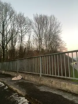 Snapshot of NickyGold_Official chatting on 01.18.25 NickyGold Official online show from 01.18.25