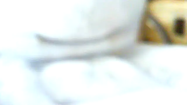 volficxh online show from 04.05.26