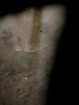 Snapshot of Yasha_14C_Creator chatting on 10.31.25 Yasha 14C Creator online show from 10.31.25