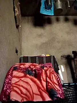 Yasha 14C Creator online show from 01.11.26