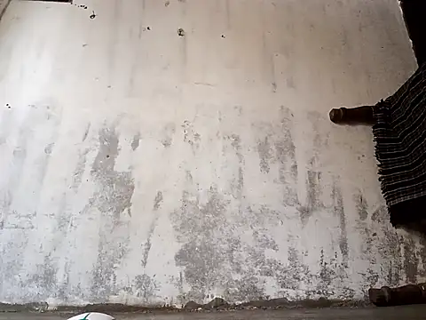 Yasha 14C Creator online show from 01.17.26