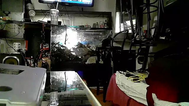 0815lukas2024 online show from 11.03.25