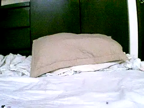 Snapshot of pollarikaaa chatting on 12.18.24 pollarikaaa online show from 12.18.24