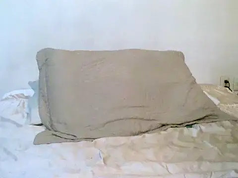 Snapshot of pollarikaaa chatting on 10.21.25 pollarikaaa online show from 10.21.25