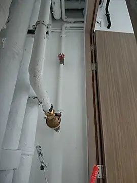 2tomka52052sex online show from 01.08.25