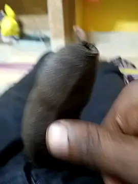 Tamil boy age28 online show from 12.20.25