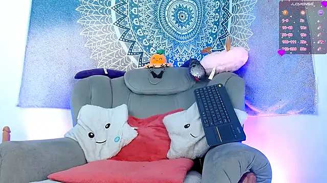 tevenwhiite online show from 03.12.25