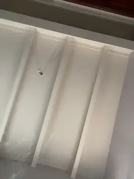 Snapshot of andreinitahg chatting on 01.03.25 andreinitahg online show from 01.03.25