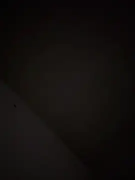 casadoscuriosos97 online show from 03.11.26