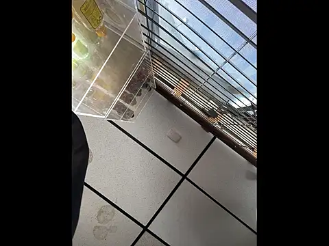 steelwood303 online show from 12.21.25