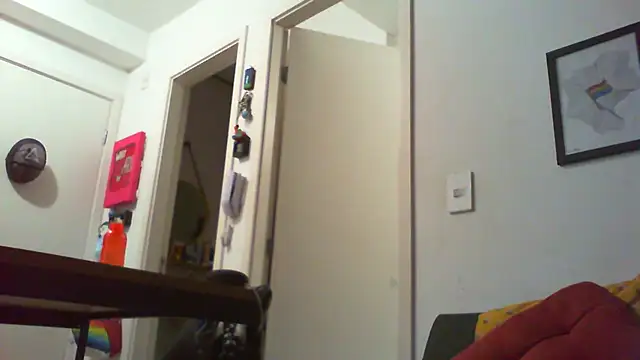 funguybr36 online show from 02.01.26