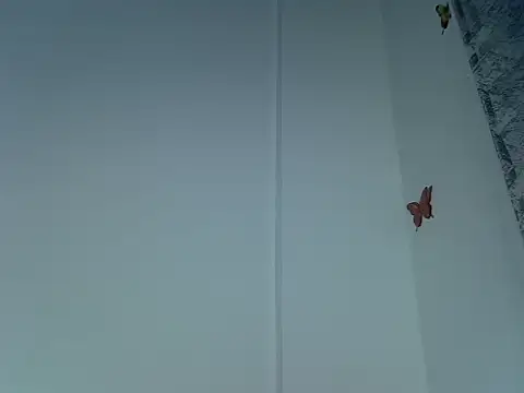 laetitia  online show from 09.29.25