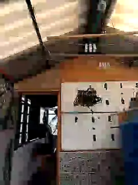 rebekka simpson online show from 03.09.25