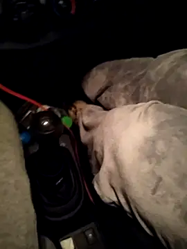 A man in public online show from 04.10.26