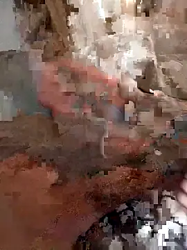 Din0071 online show from 12.22.25