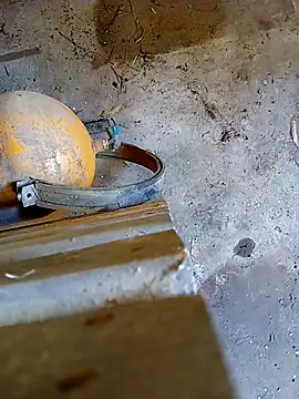 Din0071 online show from 01.07.26