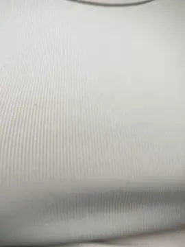 Snapshot of Berry_Bans chatting on 10.18.25 Berry Bans online show from 10.18.25