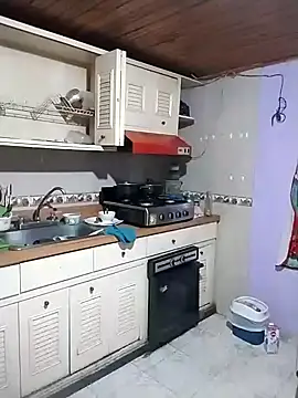 Snapshot of Camille_rose_ chatting on 01.30.25 Camille rose online show from 01.30.25